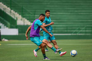 Paysandu x Guarani - Bugre busca voltar ao embalo na Série B. Onde assistir e escalações!