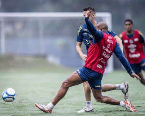 Santos x Operário-PR - Peixe quer continuar a caçada pela liderança. Onde assistir e escalações!