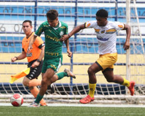 Rodada crava posição do Novorizontino no Paulista Sub-13 e Sub-14; Sub-17 segue na briga