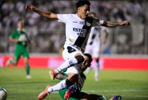 Blog do Ari - Desculpem a nossa falha; a Ponte Preta corre risco, sim