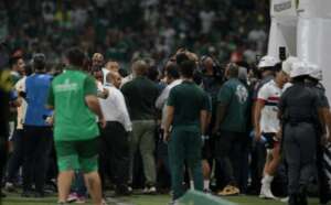 Palmeiras e São Paulo pagarão R$ 250 mil ao STJD para liberar 'brigões'