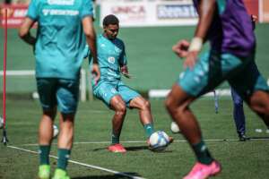 Guarani renova Certificado de Clube Formador junto à CBF