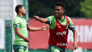 Palmeiras x Criciúma - Verdão em busca da 4ª vitória seguida