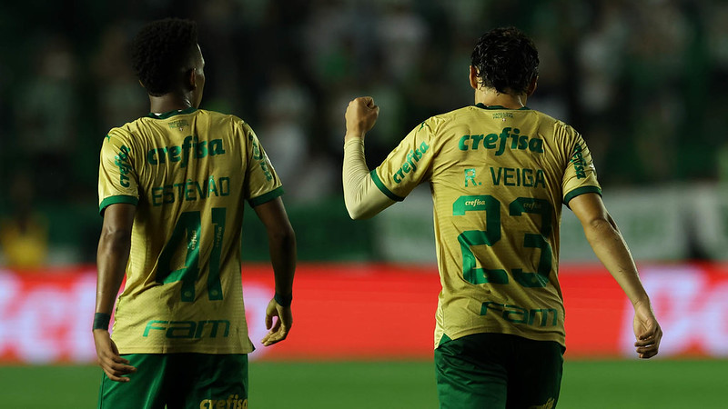 Estêvão Raphael Veiga Palmeiras