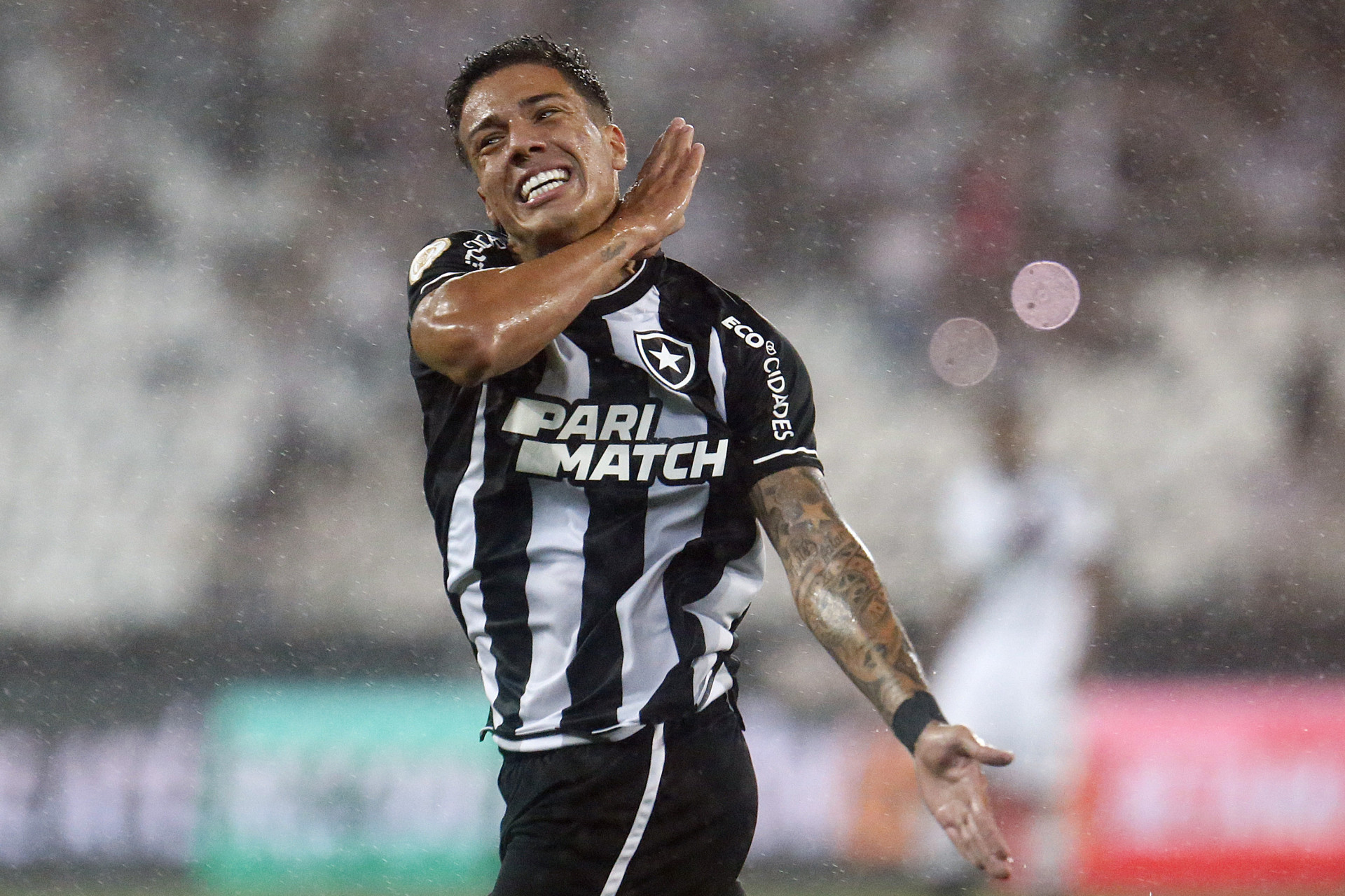 Carlos Alberto vibra após marcar pelo Botafogo