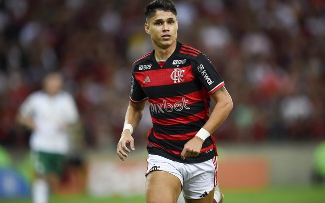 Luiz Araújo era um dos destaques do Flamengo antes da lesão