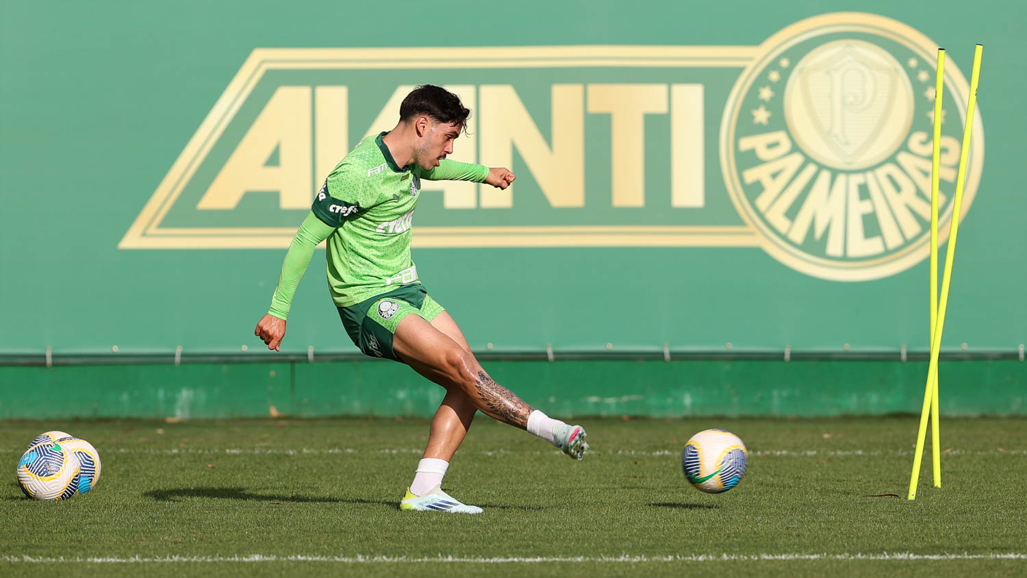 Piquerez e Mauricio treinam, mas ainda não reforçam Palmeiras