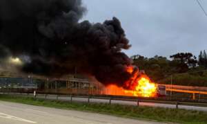 Gaeco vai investigar ataque de organizada do Palmeiras a torcedores do Cruzeiro