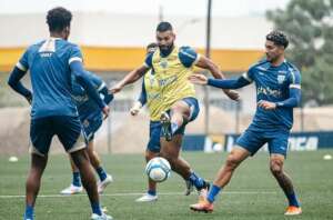 Avaí enfrenta 5 times que estão acima na tabela em reta final da Série B