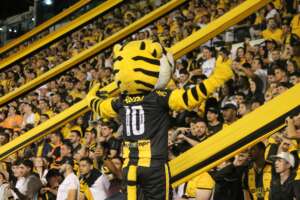 Criciúma se torna clube com mais sócios-torcedores presentes em seu estádio
