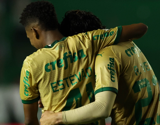 Palmeiras terá desfalques contra o Fortaleza e lista de pendurados antes do Dérbi 2 image 332