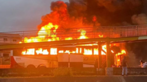 FPF proíbe Mancha Alvi Verde de acessar estádios em SP