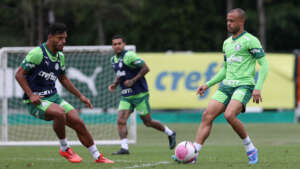 Palmeiras treina e Naves pede apoio da torcida