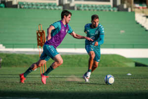 Guarani x Amazonas - Ainda dá pra se salvar, Bugre? Onde assistir e escalações!