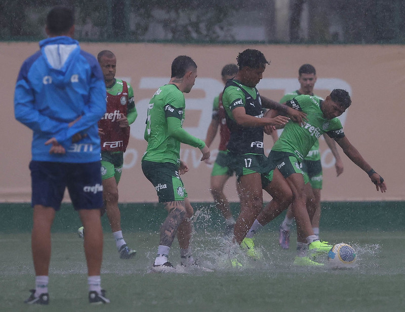 Aníbal pede apoio da torcida do Palmeiras em decisão contra o Grêmio (Foto: Cesar Greco/Palmeiras)