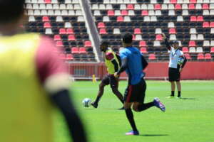 Botafogo-SP encara Ceará podendo acabar com riscos de degola na Série B