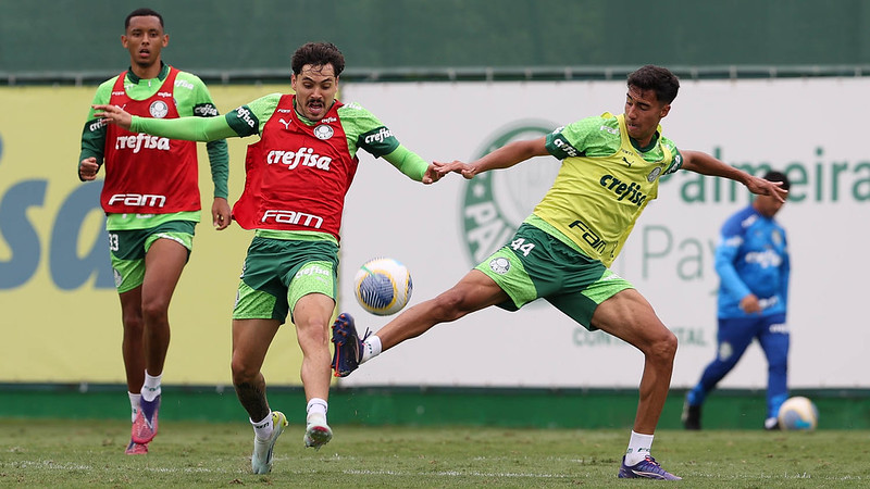 Maurício Palmeiras