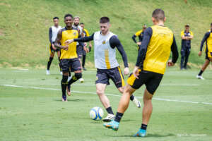 SÉRIE B: Novorizontino tenta ficar com 'duas mãos' no acesso e Ponte Preta foca na permanência