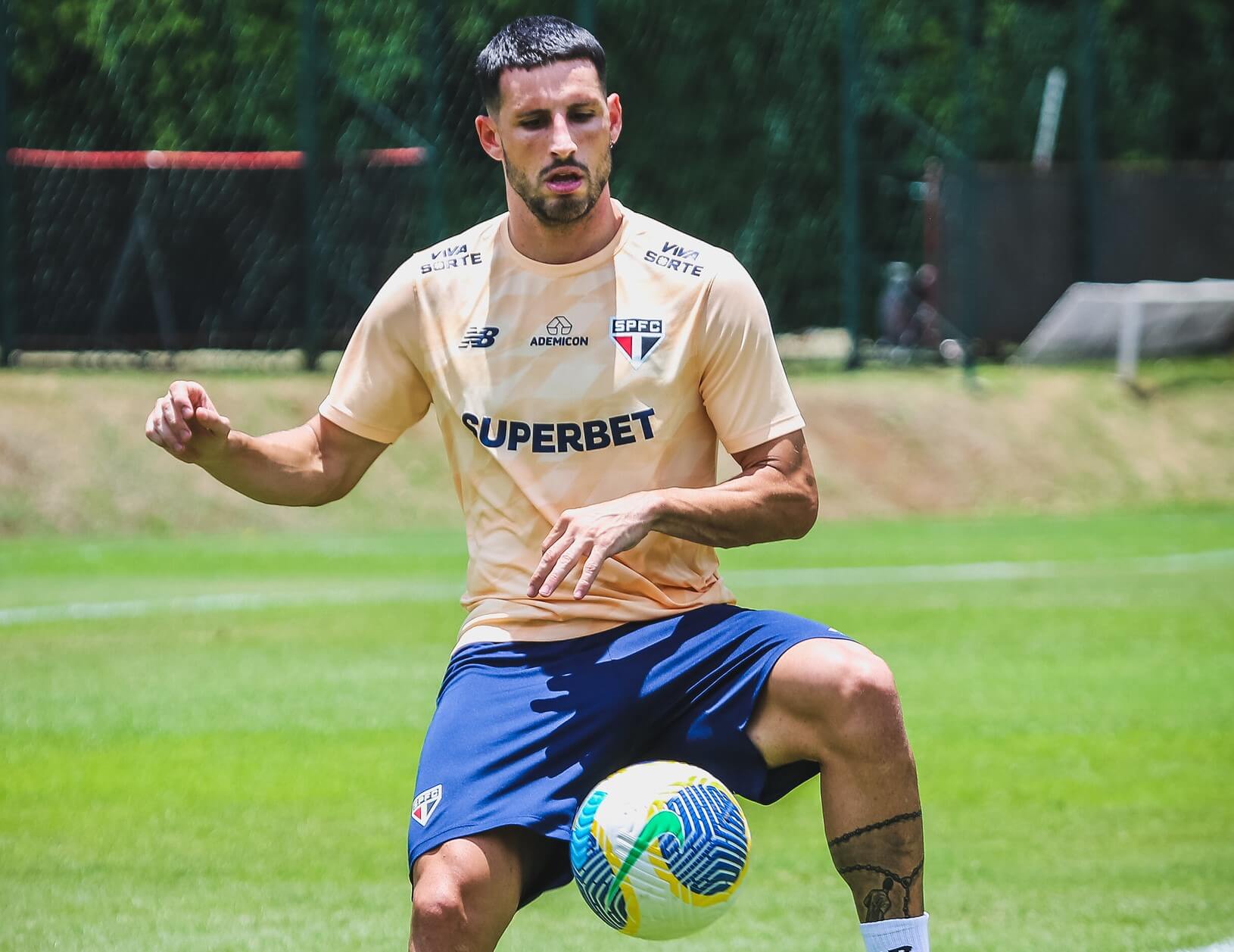 Calleri São Paulo