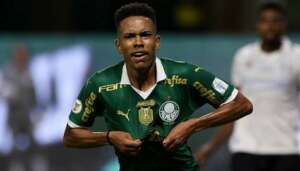 Palmeiras x Botafogo - campeão deve sair deste clássico