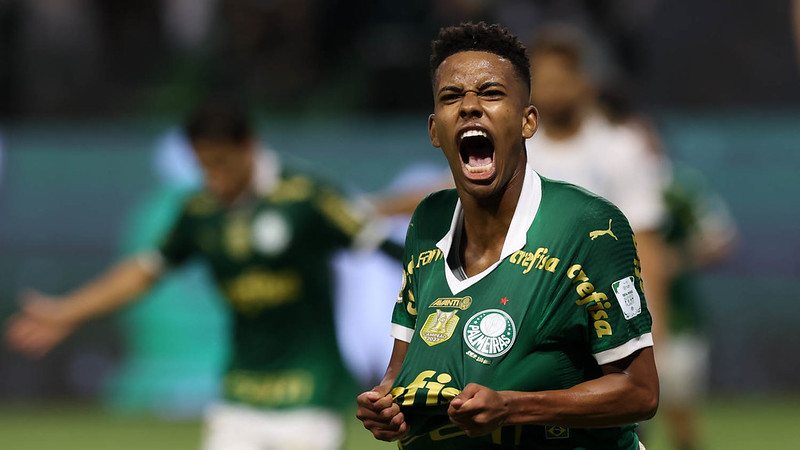 Tropeco do Botafogo anima Palmeiras no Brasileirao