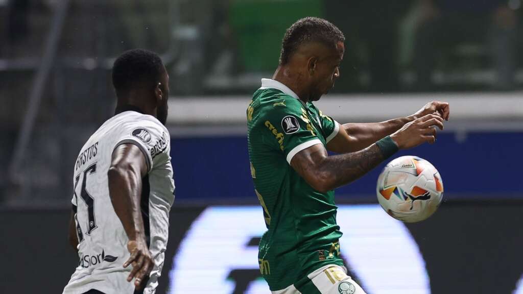 Palmeiras ou Botafogo? Saiba quem é o favorito para o título do Brasileirão