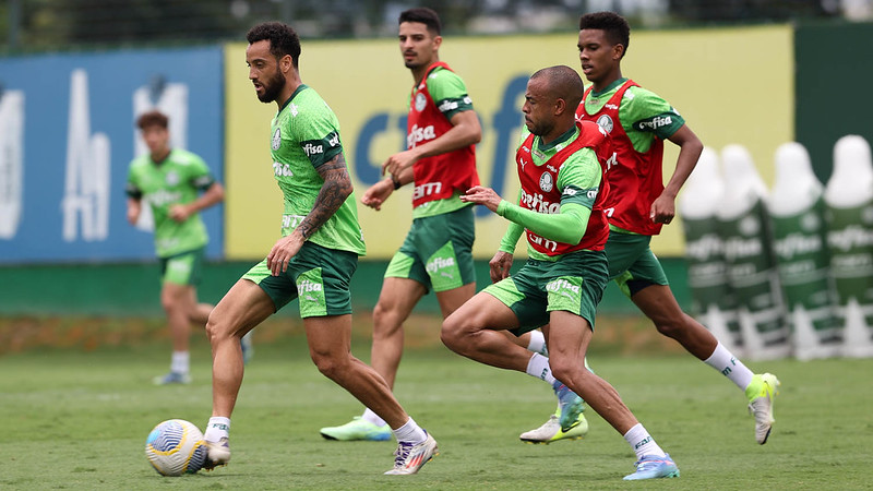 (Foto: Cesar Greco/Palmeiras