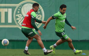 Cruzeiro x Palmeiras - Verdão tenta último recurso em busca do título