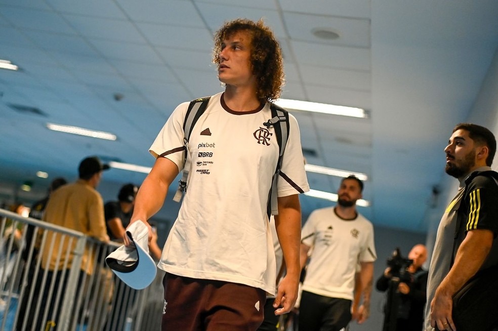 CEO do Fortaleza confirma interesse em David Luiz (Foto: Divulgação/Flamengo)