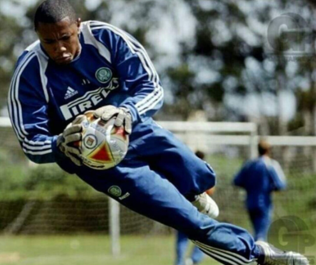 Ex goleiro do Palmeiras acerta com time amador de Taubate 6