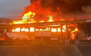 Integrante da Mancha Alviverde se entrega e já são 13 presos