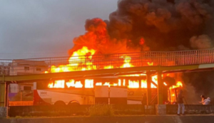 Palmeiras é processado em R$ 8,75 mi por família de torcedor morto em emboscada