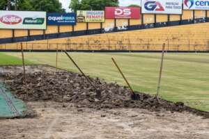 Presidente do Novorizontino enfatiza troca do gramado 