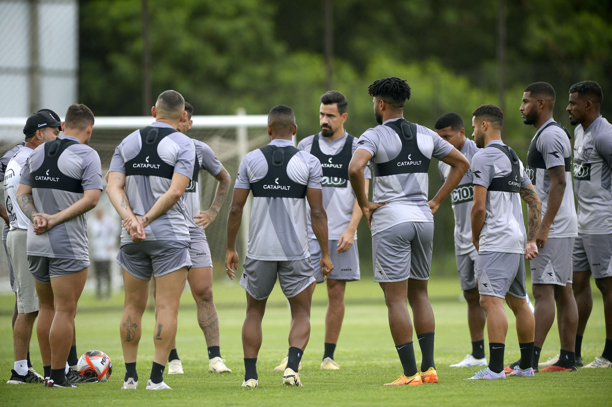 Ponte Preta está invicta no Paulistão