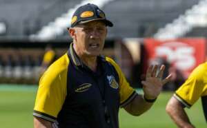 A bela história de Palmeiras e Novorizontino no Paulistão