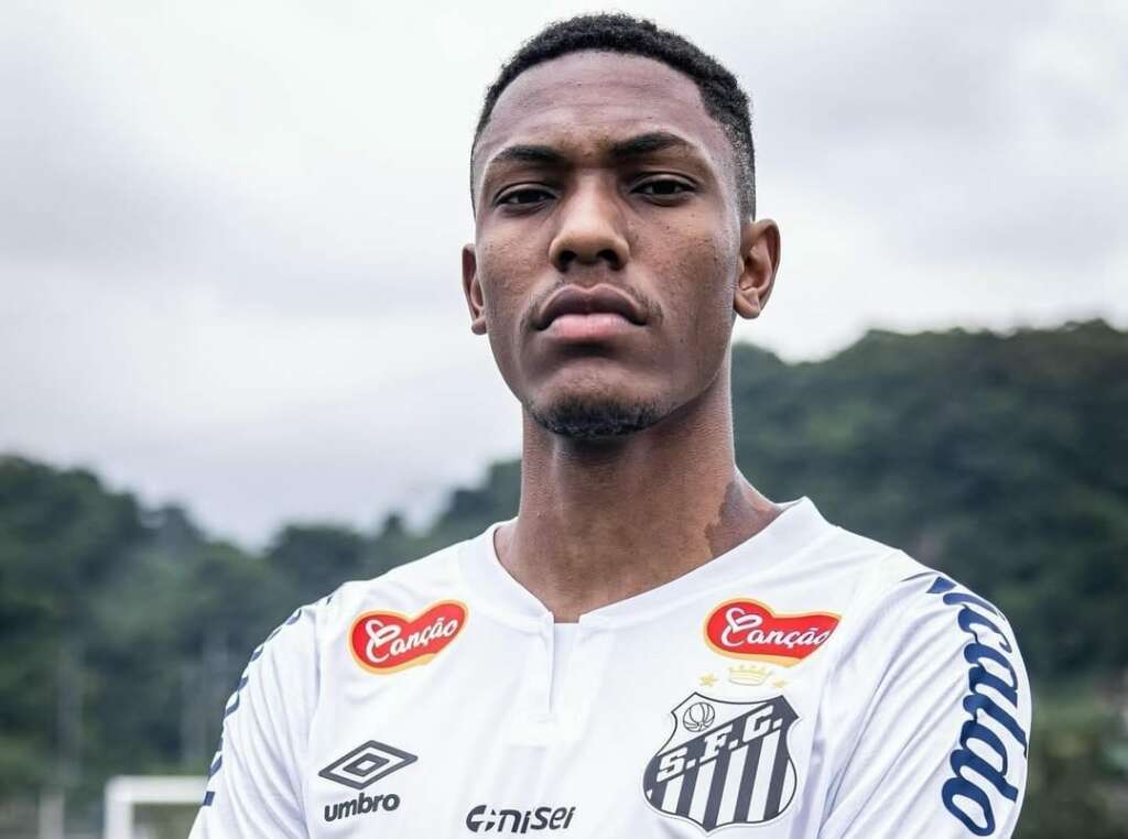 Zé Ivaldo e Luisão são apresentados pelo Santos