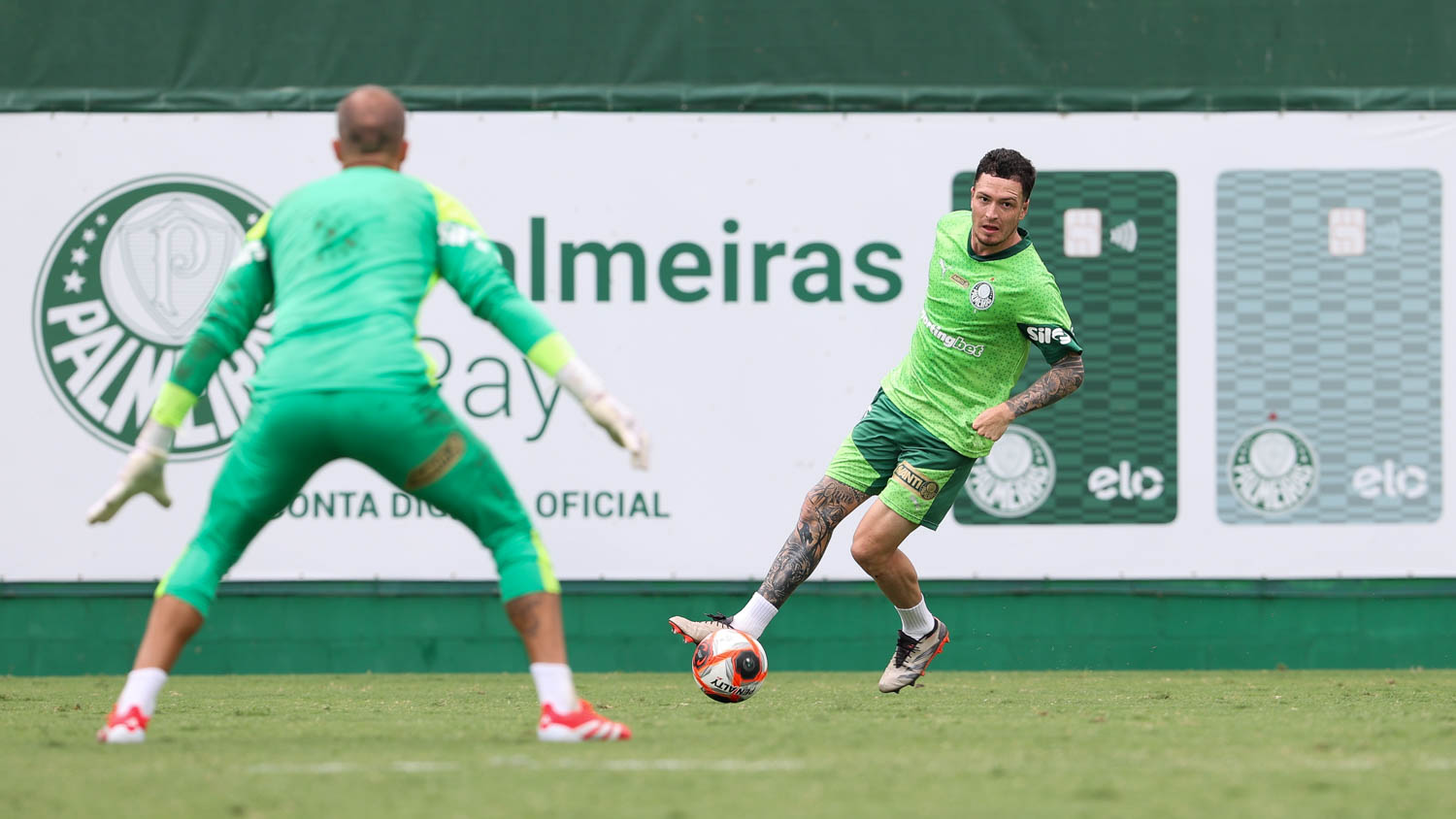 Palmeiras busca o tetra do Paulistão e estreia contra a bilionária Portuguesa