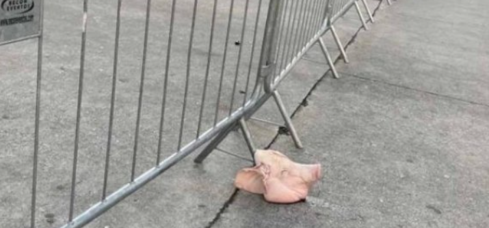 Captura de tela 2025 02 06 163152