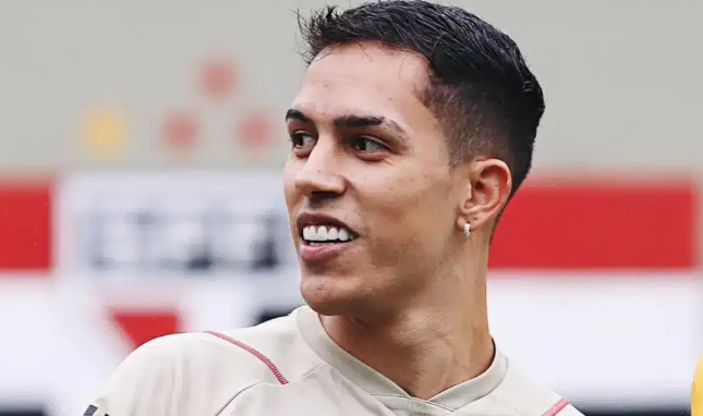 Captura de tela 2025 02 13 090849