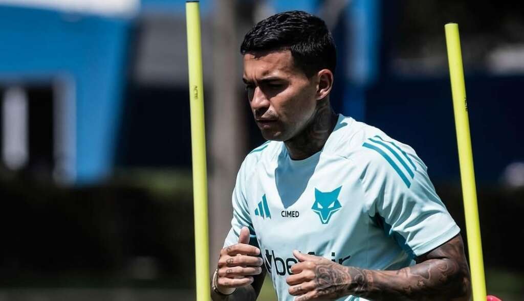 Dudu acompanha apelo contra sintético após anos no Palmeiras