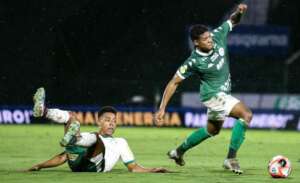 Renda líquida do Guarani com o Palmeiras foi de R$ 359 mil