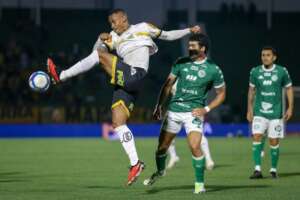 Paulistão: Guarani tem retrospecto positivo contra o Novorizontino