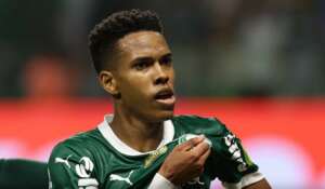 Pontepretano tentou 'secar' o Palmeiras, mas o Botafogo não resistiu