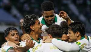 Cartolas do Guarani ainda cogitam tirar o time do Brinco