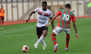 Márcio Zanardi ainda espera por reação do Botafogo-SP. Veja!