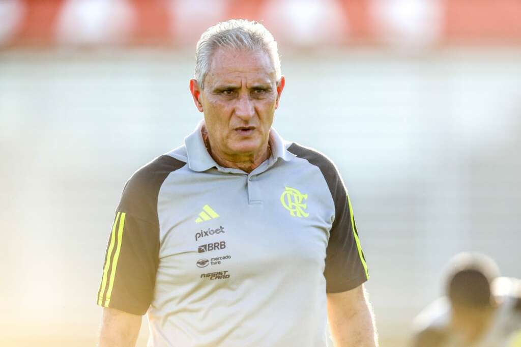 Botafogo tenta a contratação do técnico Tite