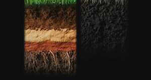 Neymar e outros craques fazem apelo contra gramado sintético