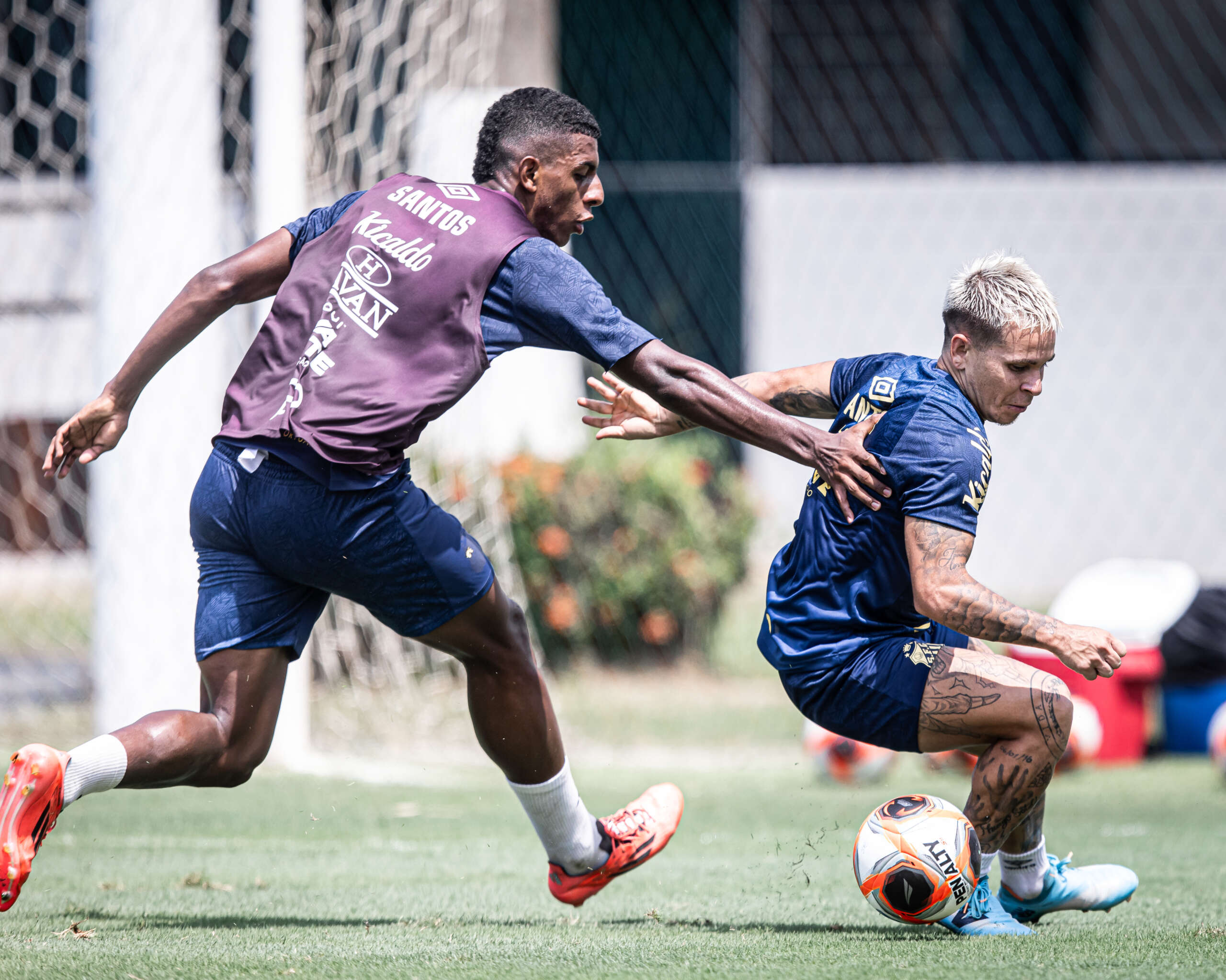 54382579499 8c5e7bfb4b o scaled