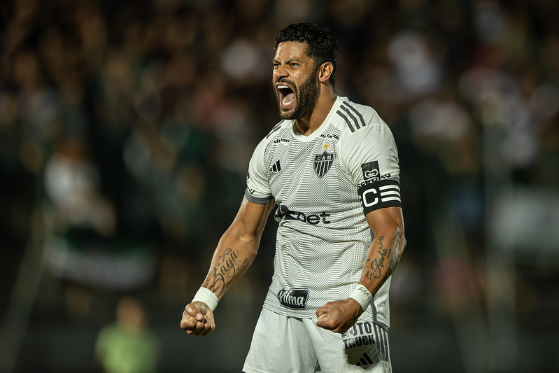 54486130173 469ea888dd c