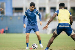 Avaí x Operário-PR - Leão tenta desencantar na Série B